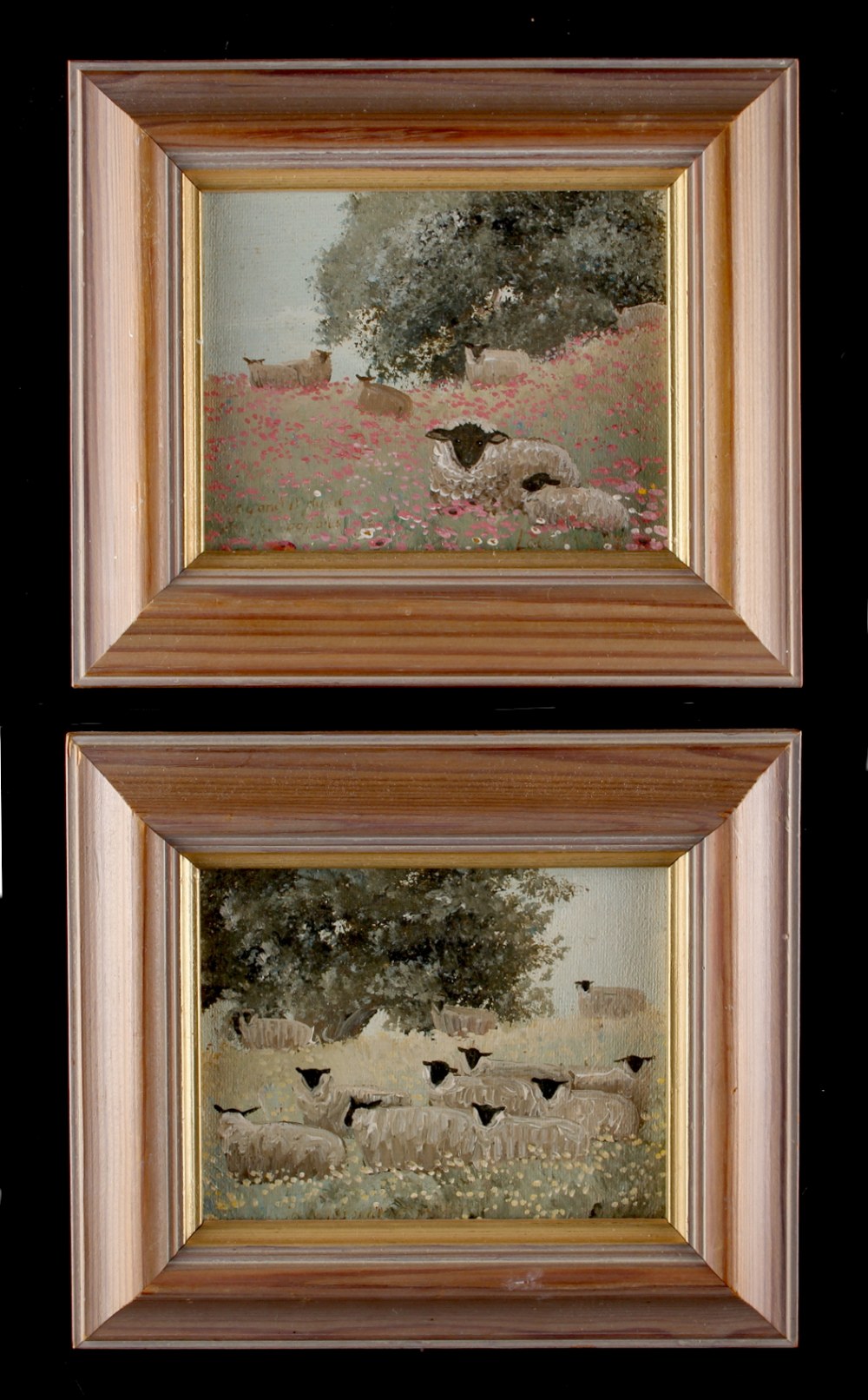 Property of a lady - modern British - SHEEP IN PASTURE - oils on board, a pair, each 4 by 5ins. (