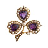 A late 19th / early 20th century 15ct yellow gold amethyst & seed pearl three leaf clover brooch,