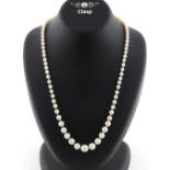 A certificated natural saltwater pearl single strand necklace, the eighty individually knotted