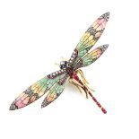 A very fine & large Art Nouveau plique a jour dragonfly brooch, the head set with cabochon