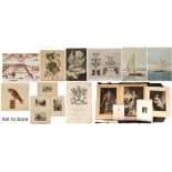 Property of a gentleman - a folio case containing assorted unframed pictures & prints; together with