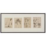 Property of a lady - four monochrome botanical prints, in single glazed frame (see illustration).