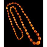 Property of a deceased estate - a butterscotch amber graduated oval bead necklace, the largest of