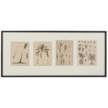 Property of a lady - four monochrome botanical prints, in single glazed frame (see illustration).