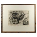 Russell Sidney Reeve (1875-1970) - CIRCUS ANIMALS - etching, 10.85 by 14.65ins. (27.5 by 37.