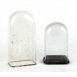 Two late 19th / early 20th century glass clock domes, the taller 20.5ins. (52cms.) high (2).