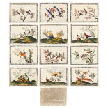 An album containing a complete set of twelve 19th century Chinese paintings on pith paper