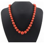 A coral graduated bead single row necklace, the largest bead approximately 16mm long, the necklace