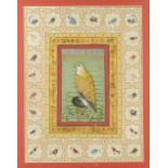 Property of a gentleman - an Indian school watercolour with gum arabic heightening depicting a