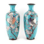 Property of a lady - a pair of late 19th / early 20th century Japanese blue ground cloisonne vases