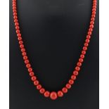 Property of a lady - a coral single strand graduated bead necklace, the largest bead approximately