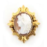 A Victorian unmarked yellow gold shell cameo brooch depicting a classical head wearing a lion head