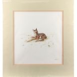 A collection of works by Pauline Bull, nee Davies (b.1957) - THE FAWN AND SNAIL - watercolour, 22.25