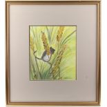 A collection of works by Pauline Bull, nee Davies (b.1957) - FIELD MOUSE IN WHEAT - watercolour,