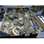 Quantity of Horse Harness Brasses:- One Box
