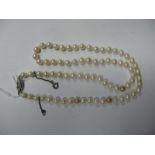 A Single Strand Uniform Pearl Bead Necklace, to inset clasp stamped "Lotus" "9ct".