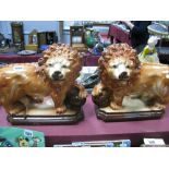 A Pair of XIX Century Pottery Lions, with glass eyeS, (one absent), 33cm wide.