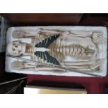 A Human Skeleton Plastic Anatomical Education Model, approximately 90cm high.