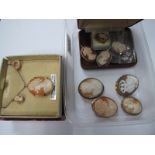 Oval Shell Carved Cameo Brooches, and a cameo necklace, in original box.