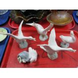 Lladro Pottery - Five Geese Figure Groups.