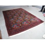 Middle Eastern Senneh Style Wool Tassled Carpet, with twenty four central motifs within a