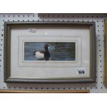 •Andrew Hutchinson (British b.1961) *ARR, A Tufted Duck in Water, signed and dated lower right (19)