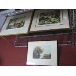 Winston Megaran? 'Evening Shadows' etching, signed, titled and blind backstamp to border, 24.5 x