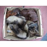 A Collection of Fur Stoles, Fox Collars, Gloves etc:- One Box