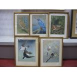 John Crank (1923 - 2008); Five Bird Studies - Kingfisher, Long Tailed Tits, Song Thrush, House