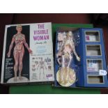 The Visible Woman Assembly Kit, by Renwal, USA, largely constructed, unchecked, boxed.