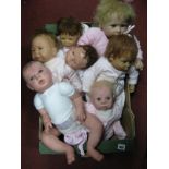 Dolls - Reva, Gotz, SD, N De Man and others, primarily in pink clothing. (7)
