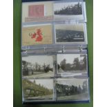 Sheffield 10 Postcode, In Excess of Fifty Early XX Century Picture Postcards, Photographs, Slides,