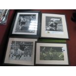 England Autographs (unverified), Gordon Banks, Cohen, Peters, Bobby Charlton, Jimmy Armfield on