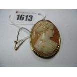 An Oval Shell Carved Cameo Brooch, depicting female profile.