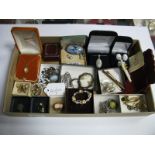 Assorted Costume Jewellery, including cameo pendant on chain, brooches, earrings, Delft blue and