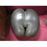 Coco De Mer Shell Nicknamed 'The Love Nut', 25 x 27cm.