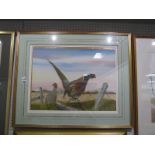 Victor. P. Sharpe (B. 1922) ''Let's Go - Ring Necked Pheasants'' Watercolour, 39 x 52.5 cm,