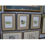 P. J. Woolley Countryside Scenes, three watercolours, 24cm x 15cm, all signed.