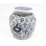 CHINESE QING, BLUE AND WHITE GINGER JAR AND COVER