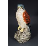 BESWICK KESTREL