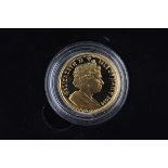 DUBLIN MINT OFFICE 2014 GOLD ANGEL COIN