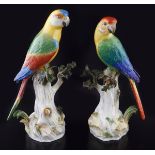 PAIR OF 19TH-CENTURY MEISSEN PARROTS