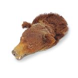 TAXIDERMY: MOUNTED BEAR'S HEAD