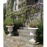 PAIR OF GEORGIAN CAST IRON URNS