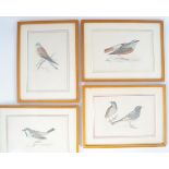 SET OF FIVE ORNITHOLOGICAL PRINTS