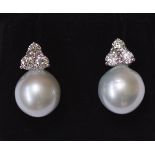 18CT WHITE GOLD, PEARL & DIAMOND EARRINGS