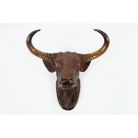 CARVED WOOD BULL'S HEAD