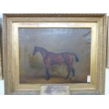 19thC oil on canvas - racehorse 'Marmion' in heavy gilt plaster frame with race form and Heritage