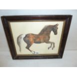 Watercolour horse (after Stubbs) - Frank Thomas