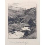 Hollenberg, FelixSterkrade/Ruhr 1868 - 1945 Gomadingen. "Nagoldtal am Abend", Landschaftsansicht,